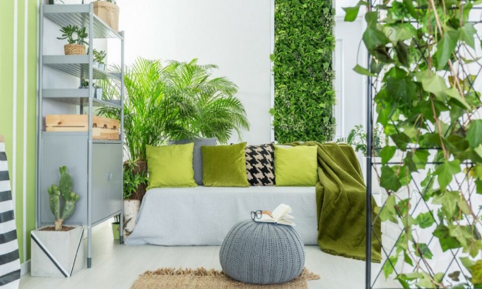 Vertical Gardening Ideas for Limited Space