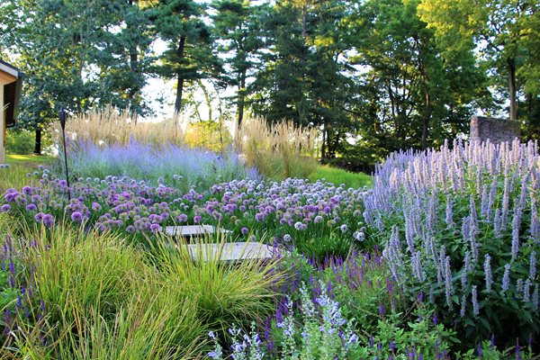 Designing with Native Plants 