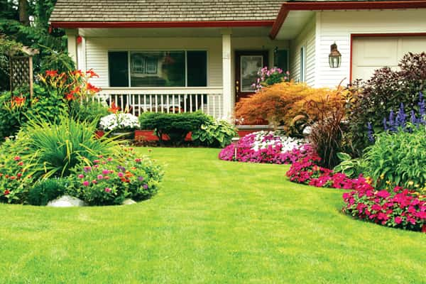 Landscaping Solutions 