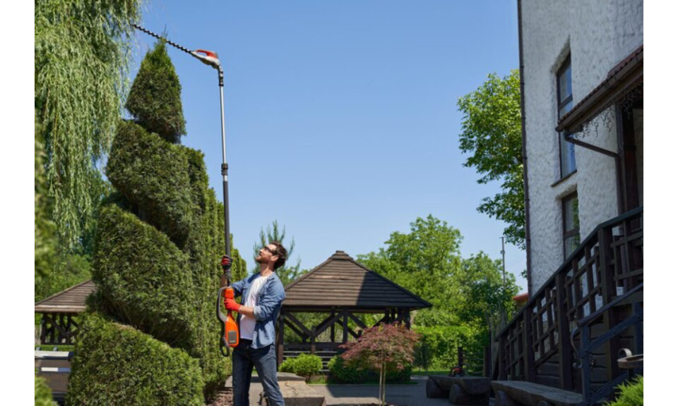 Backyard Transformations
